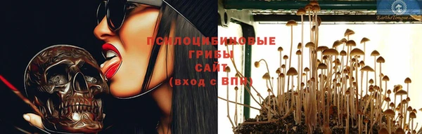 PSILOCYBIN Арсеньев