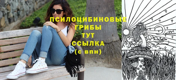 PSILOCYBIN Арсеньев