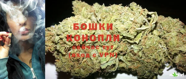 PSILOCYBIN Арсеньев