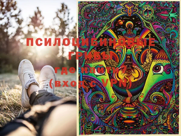 PSILOCYBIN Арсеньев