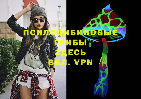 PSILOCYBIN Арсеньев
