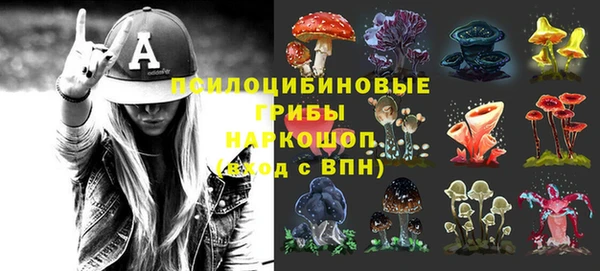 PSILOCYBIN Арсеньев