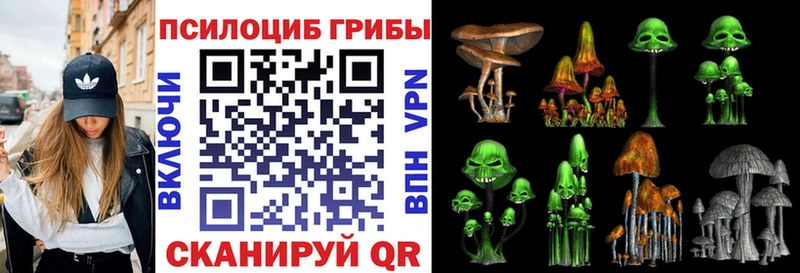 Псилоцибиновые грибы Cubensis  Собинка 