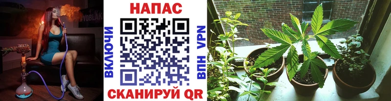 Каннабис AK-47  blacksprut ТОР  Собинка  купить наркотики сайты 